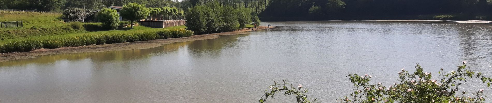 Randonnée Marche Omet - Laroque - Photo