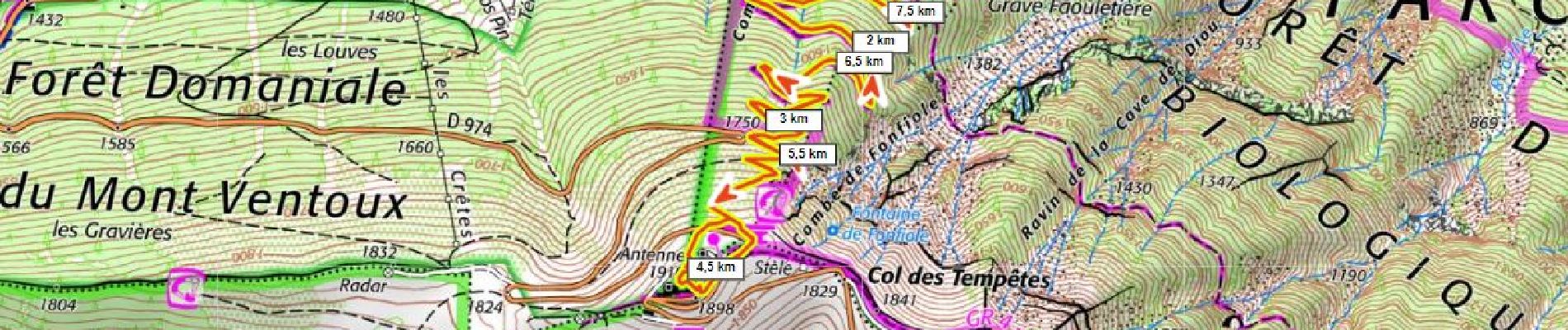 Trail Snowshoes Beaumont-du-Ventoux - Mt Ventoux 1910m 500m+ depuis la station du Mt Serein - Photo