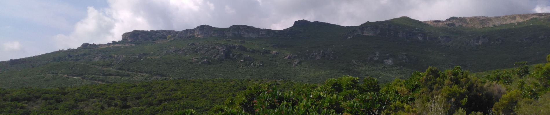 Tocht Stappen Sisco - Vallée de Sisco - Photo