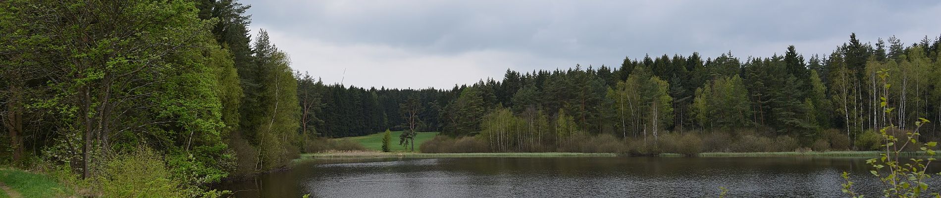 Percorso A piedi Thiersheim - Wanderweg 4 Thiersheim - Photo