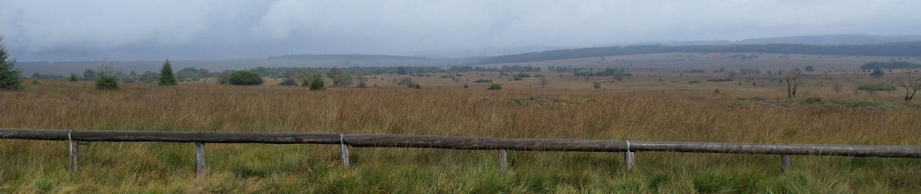 Tour Wandern Malmedy - Malmedy Botrange Malmedy GR 56 - Photo