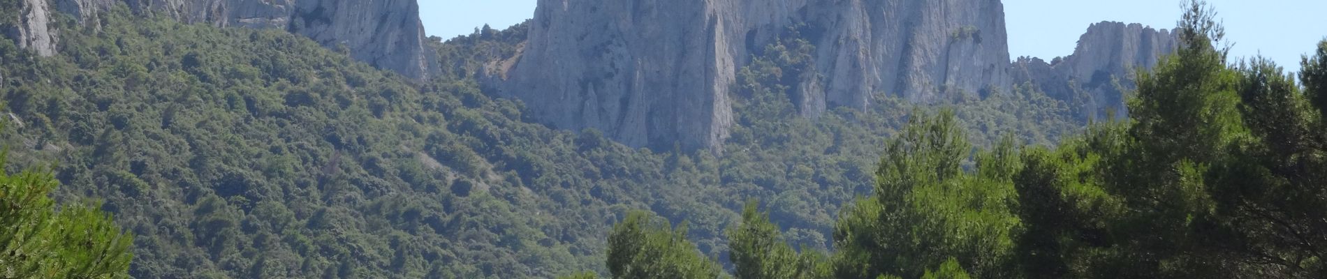 Trail Mountain bike Bédoin - Tour des dentelles depuis Bédoin  VTT AE - Photo