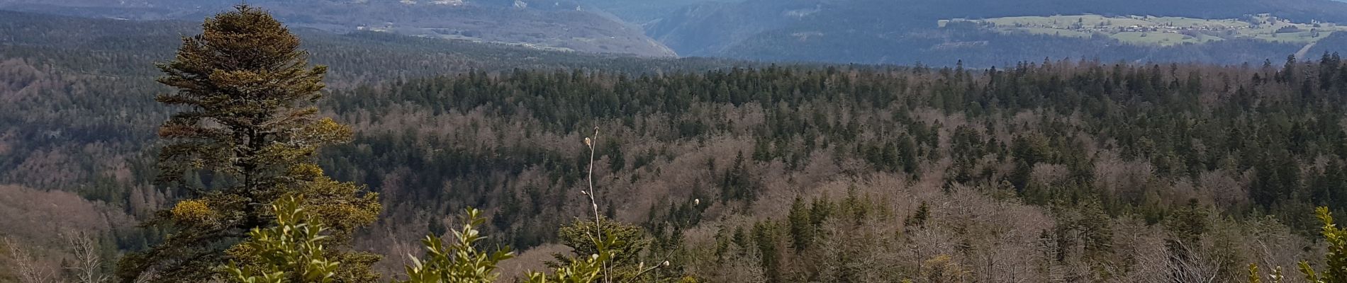 Tour Wandern Oyonnax - sommet de Belmont-grotte de Lordon - Photo