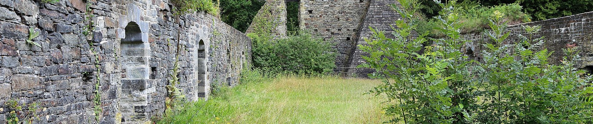 Trail On foot Villers-la-Ville - Le coureur des bois - Photo