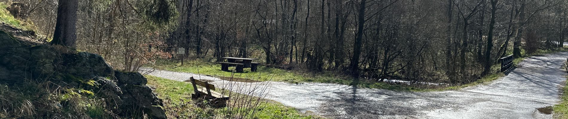 Tour Wandern Monschau - Rando Eifel des jonquilles narcisses 18,3 - Photo