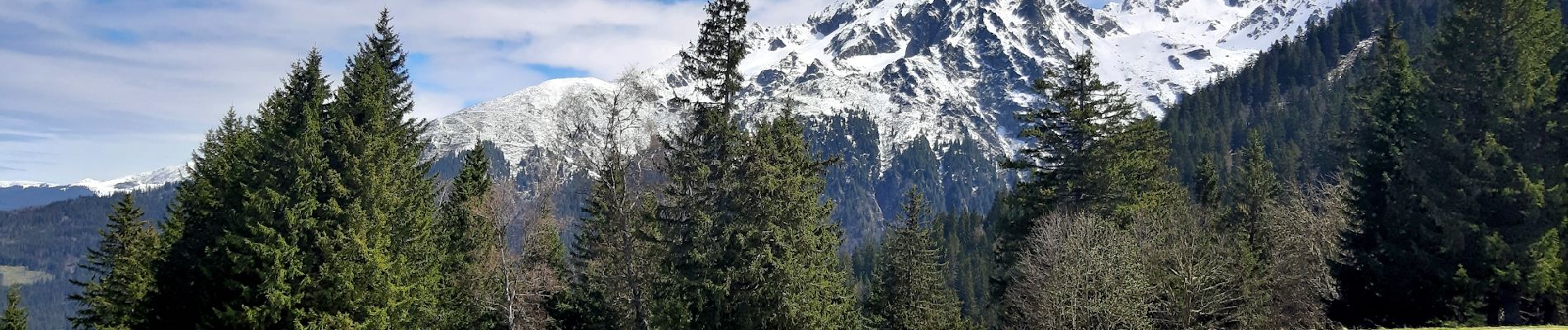 Tour Wandern La Combe-de-Lancey - Col du Pré du Molard - Photo