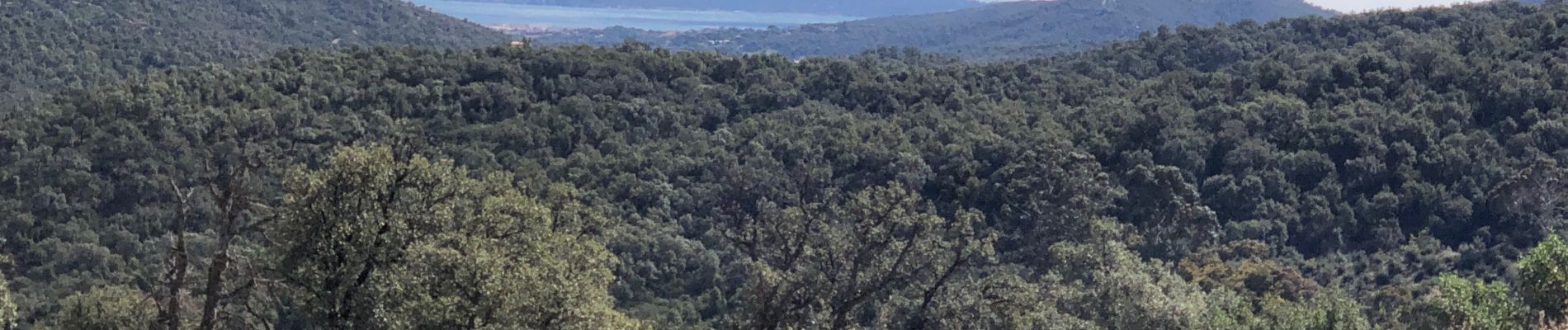 Tour Wandern Sainte-Maxime - Ste Maxime - Chapelle St Donnat - Le Revest - Photo