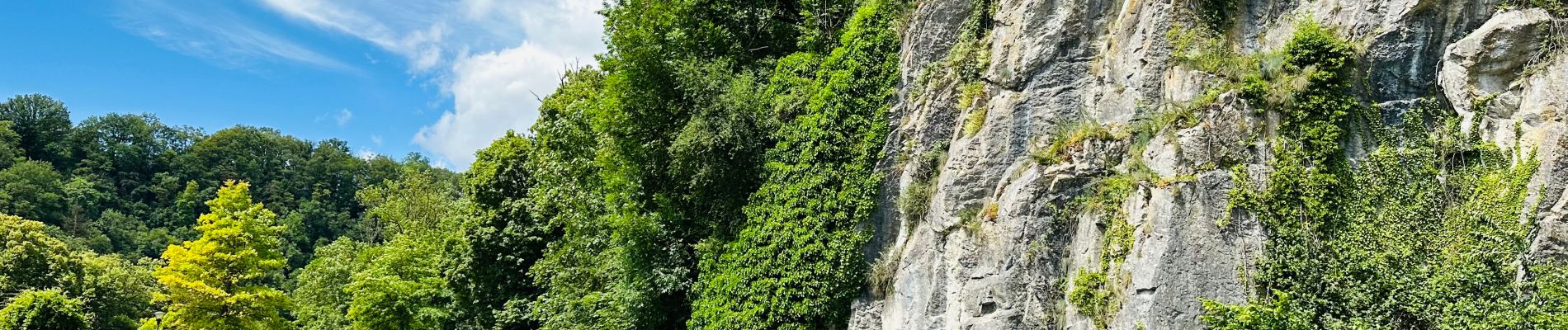 Randonnée Marche Durbuy - La boucle de Durbuy à Durbuy - Photo