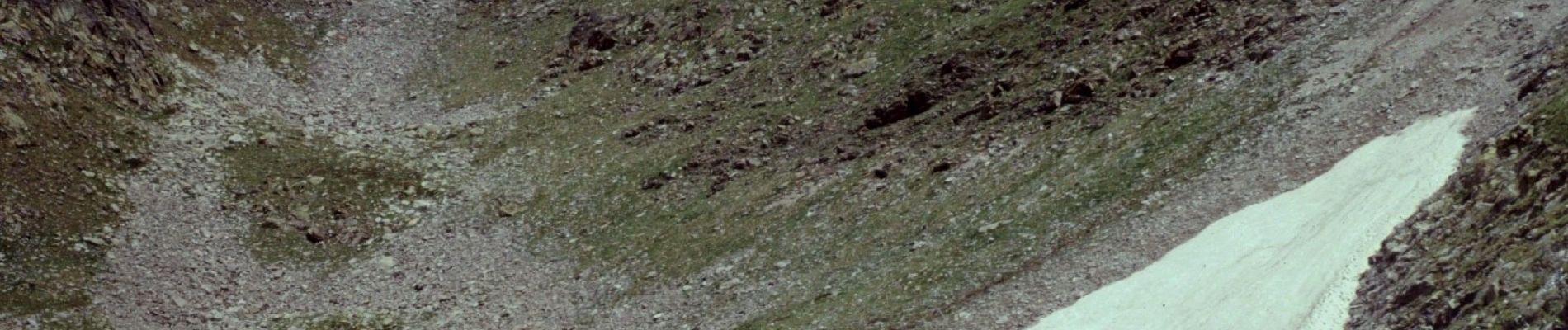 Percorso A piedi Vinadio - San Bernolfo-Testa dell'Autaret - Photo