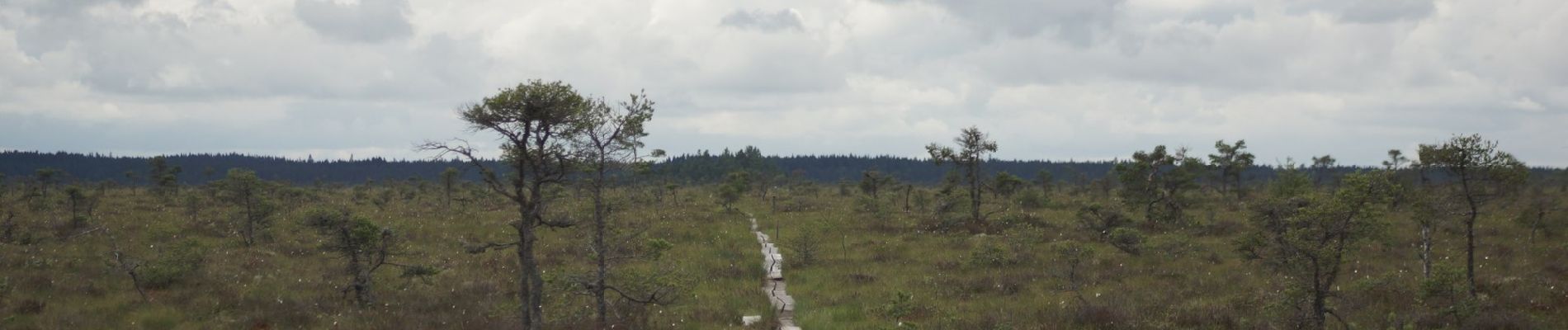 Tocht Te voet Unknown - Lilla Lövö Runt - Photo