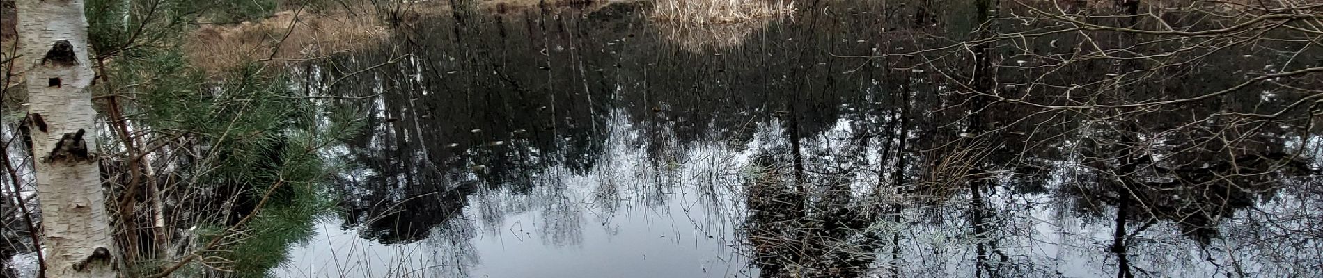 Trail Walking Fontainebleau - Epine N1+ - Photo