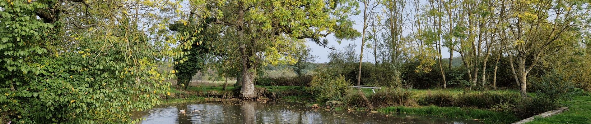 Trail Walking Limours - Essonne_Tour_des_Fermes_de_la_Prédecelle - Photo