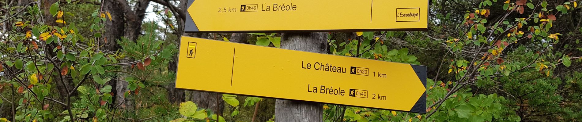 Trail Walking Ubaye-Serre-Ponçon - rechmardi - Photo