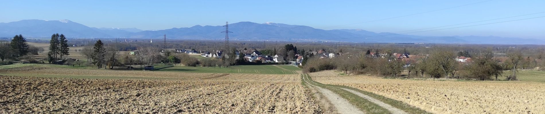 Trail Walking Heimsbrunn - Heimsbrunn Reiningue Morsch retour - Photo