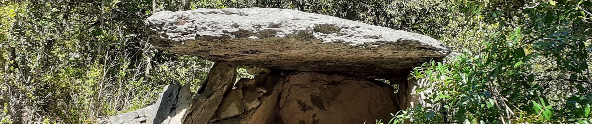 Trail Walking Méjannes-le-Clap - mejannes sentier des baumes dolmens aven de peyre haute - Photo