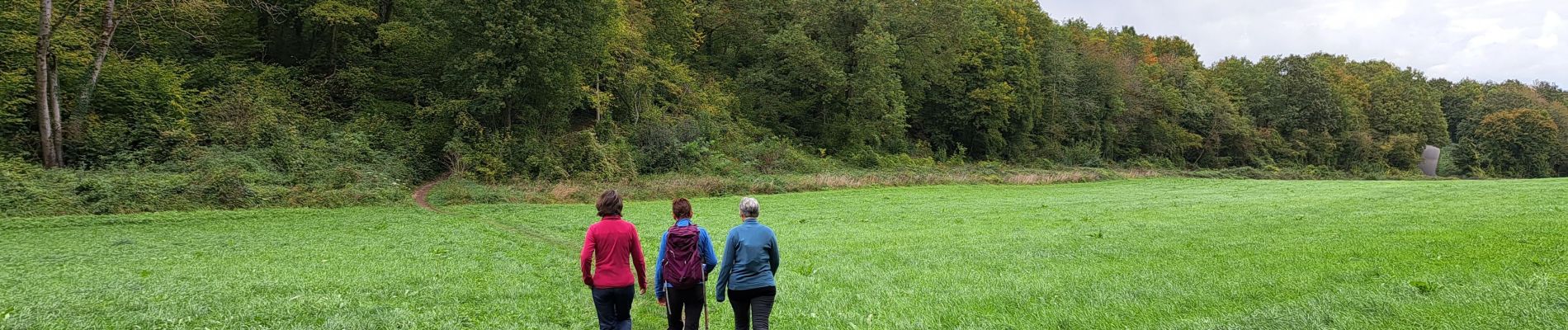 Percorso Marcia Durbuy - Autour de Tohogne (Durbuy) - Photo