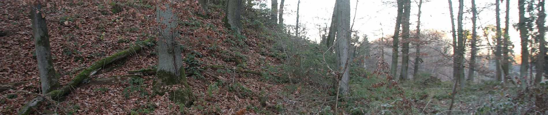 Randonnée A pied Weimar (Lahn) - [W7] Ortsrundweg Niederwalgern - Kehna - Stedebach - Niederwalgern - Photo