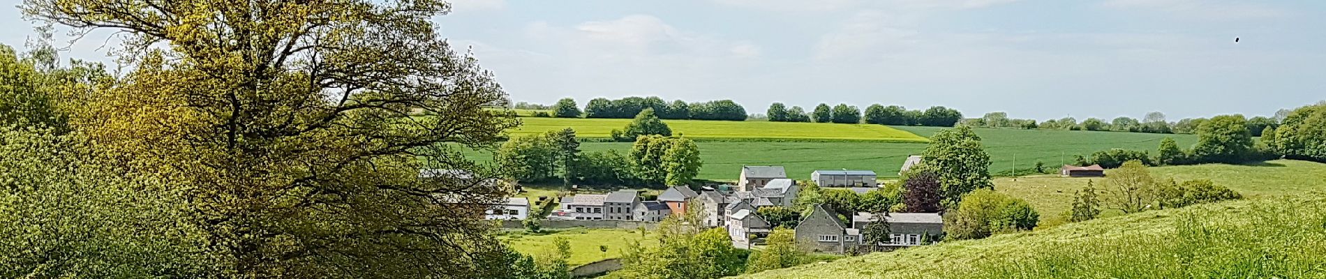 Percorso Marcia Anthisnes - 2019-05-16 Liege RB 18 Tavier 22 km - Photo