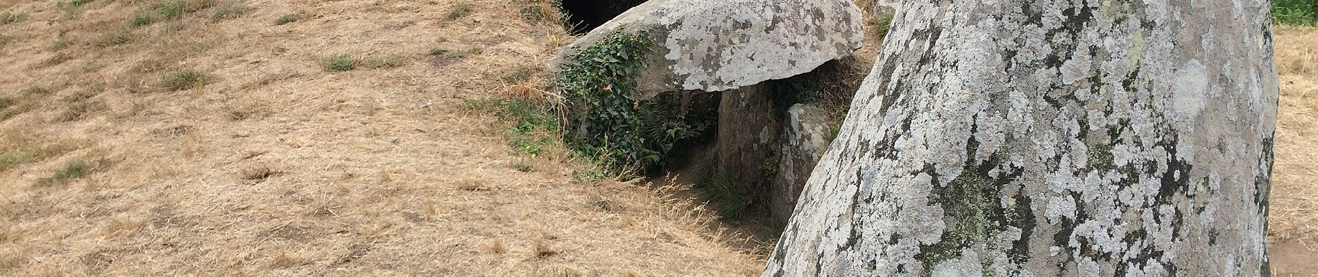 Tocht Te voet Arzon - Circuit des Pointes du Golfe - Photo