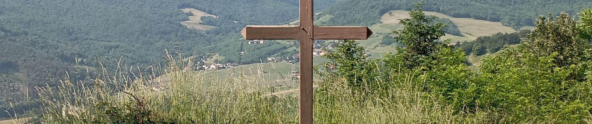 Tocht Stappen Quincié-en-Beaujolais - quincie Patrick  - Photo