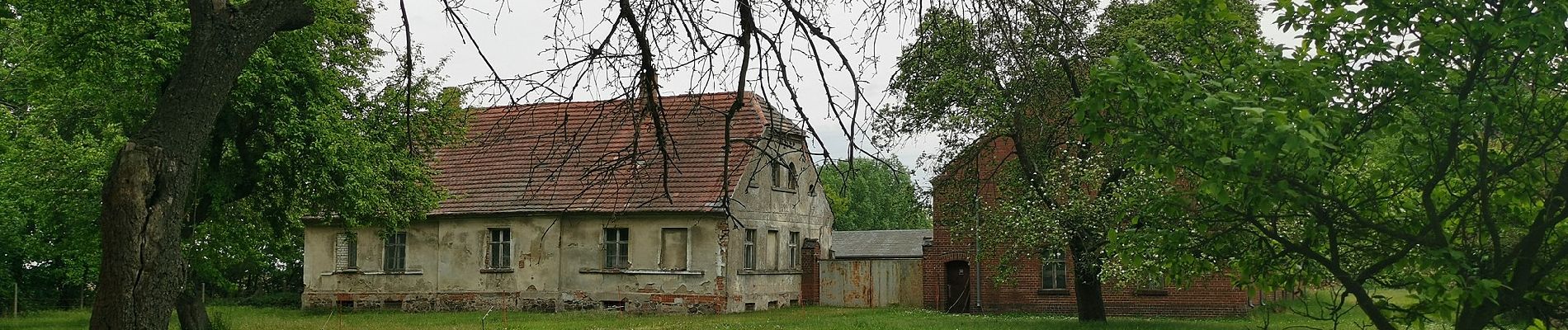 Tour Zu Fuß Dissen-Striesow - Rundwanderweg Striesow - Photo