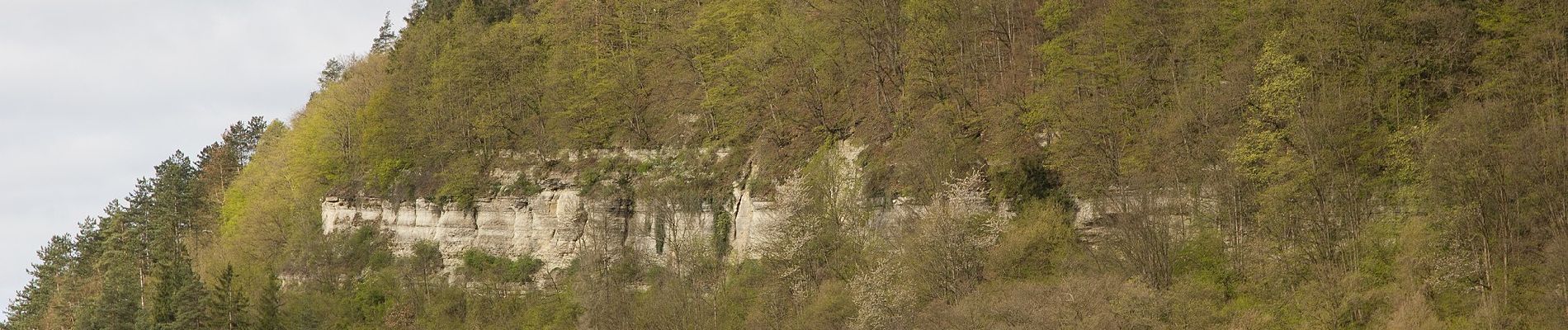 Tocht Te voet Marktrodach - Kübelberg-Weg RT 26 - Photo