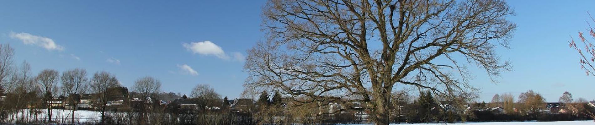 Tour Zu Fuß Käerjeng - Auto-Pédestre Clemency 1 - Photo