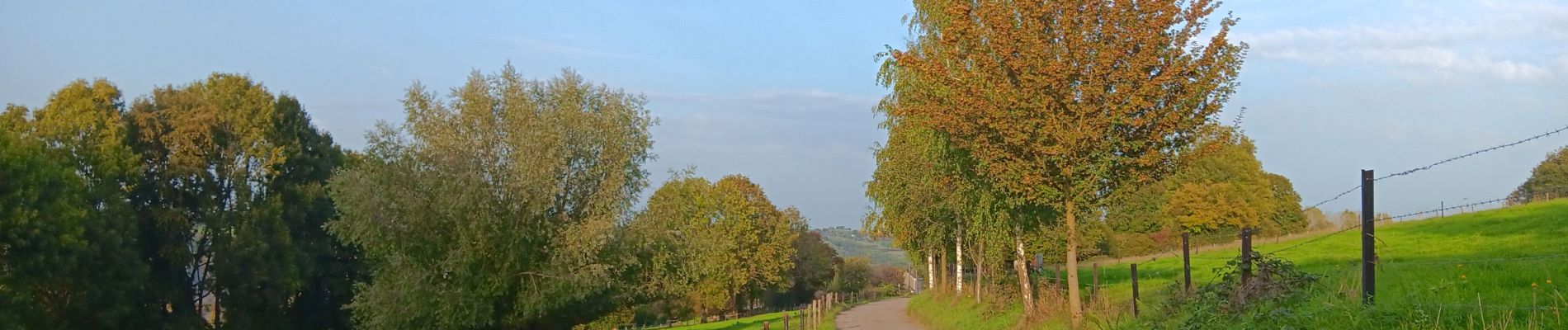 Tour Wandern Comblain-au-Pont - oneux . comblain-la-tour . oneux - Photo