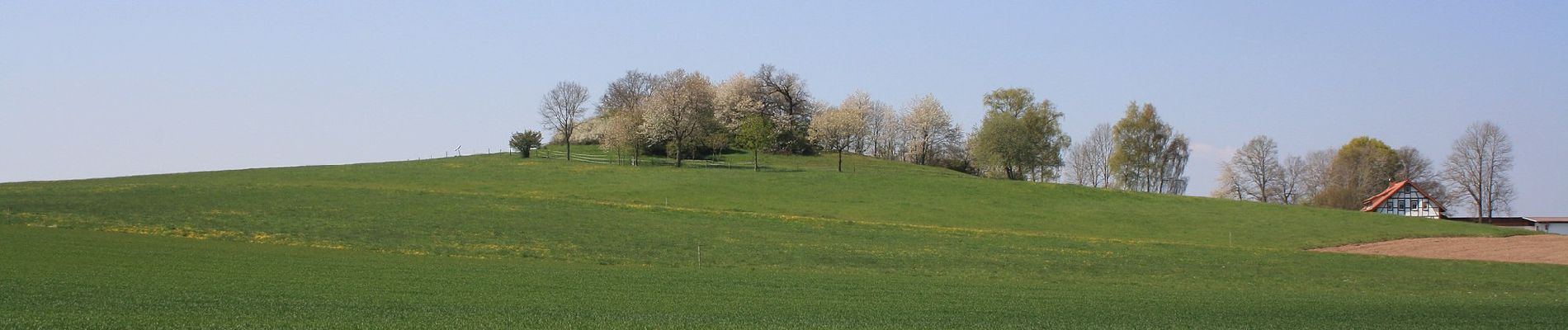 Tour Zu Fuß Künzell-Bachrain - Dietershausen Nordic Walking 6 - Photo