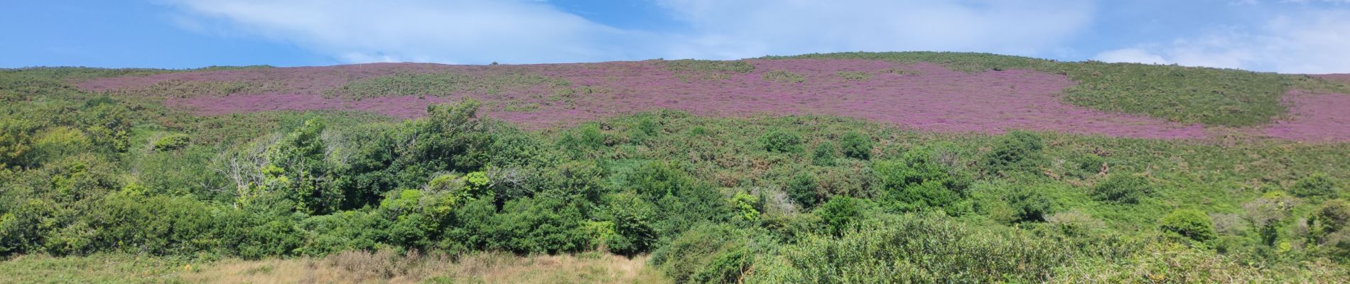 Trail Walking La Hague - Vauville - Photo