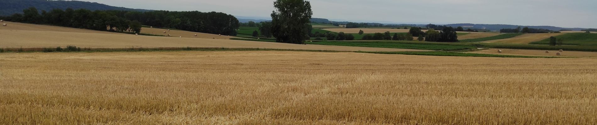 Randonnée Marche Heimsbrunn - heimsbrunn - Photo