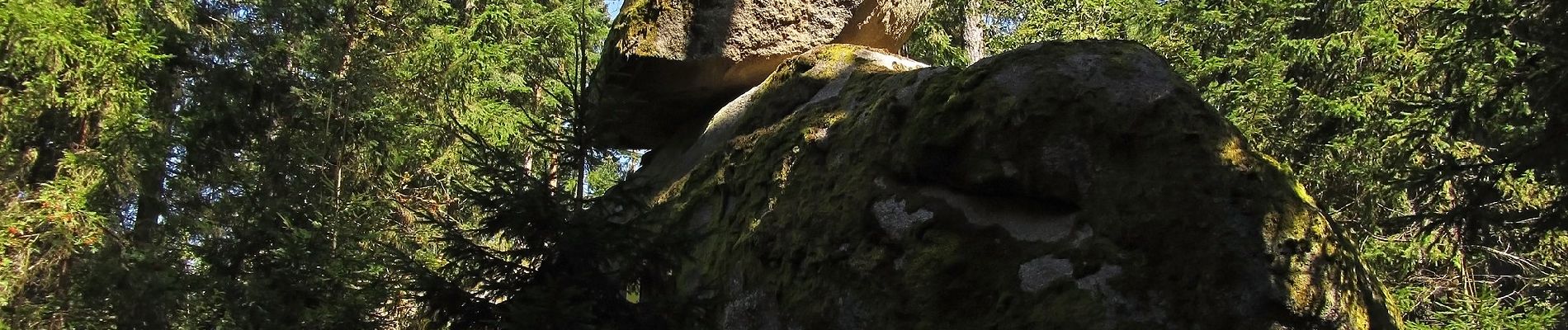 Tocht Te voet Gemeinde Gmünd - Themenweg MARIENkäferWEG - Photo