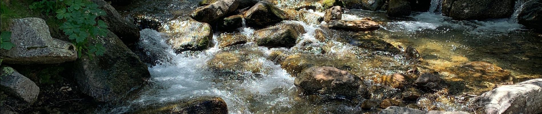 Tour Wandern Mantet - Montet à caranza  - Photo