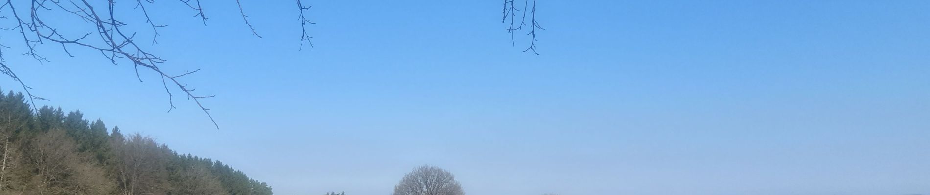 Randonnée Marche Theux - bansion - les digues via golf et chawion, retour via chemin des arbres remarquables - Photo