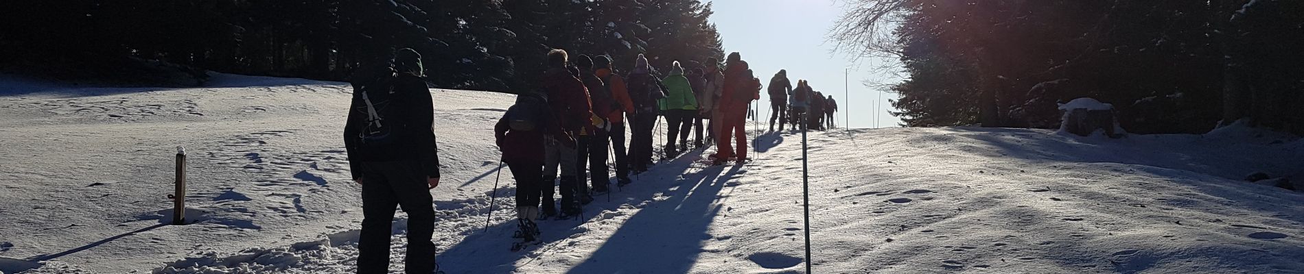 Tour Wandern Divonne-les-Bains - A Jura - lundi 20/01/2020 - rando de l'après-midi - les Copettes - Photo