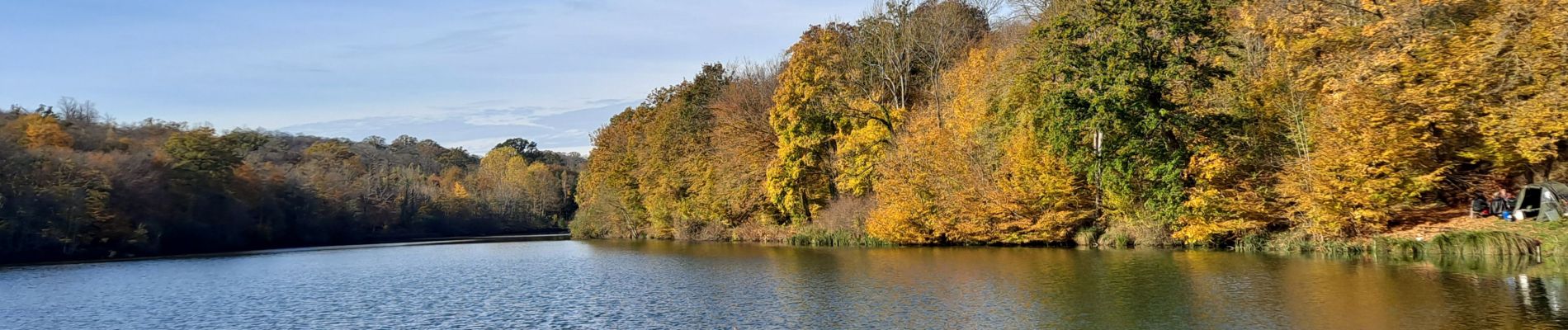 Tour Wandern Versailles - Étangs de la Minière  - Photo