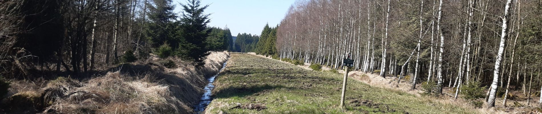 Tour Wandern Eupen - ternelle  - Photo