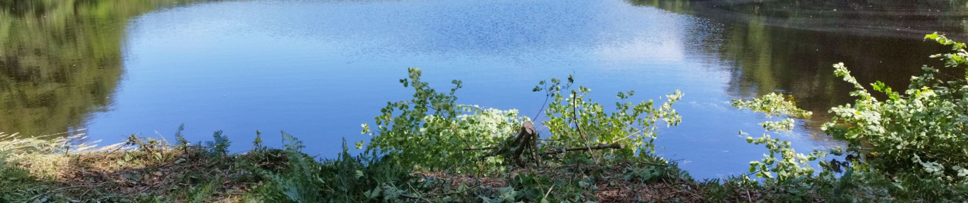 Tocht Wegfiets Bazoches - champign-brassy-chalaux - Photo