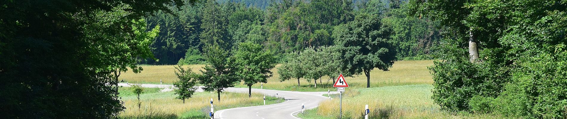 Tour Zu Fuß Kinding - Greding 9 - Photo