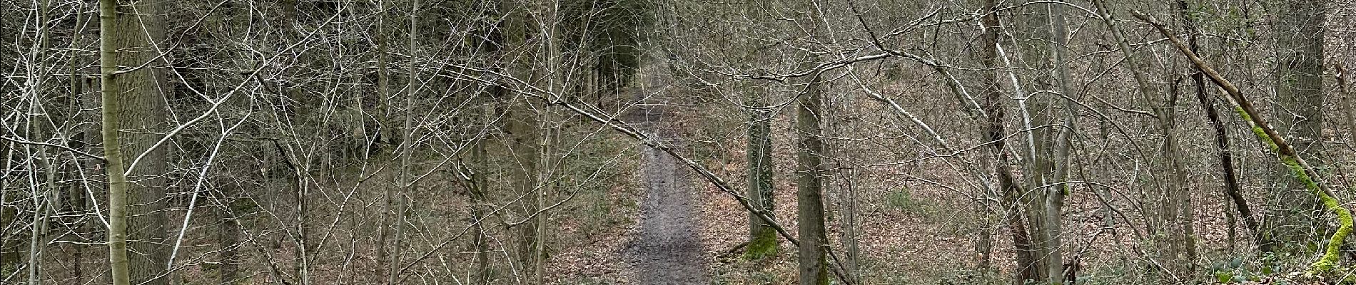 Excursión Senderismo Anthisnes - Marche Adeps Hody 10km - Photo