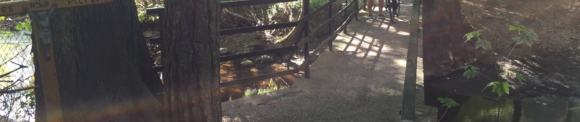 Excursión Bicicleta híbrida Verviers - Bois du Staneux  - Photo