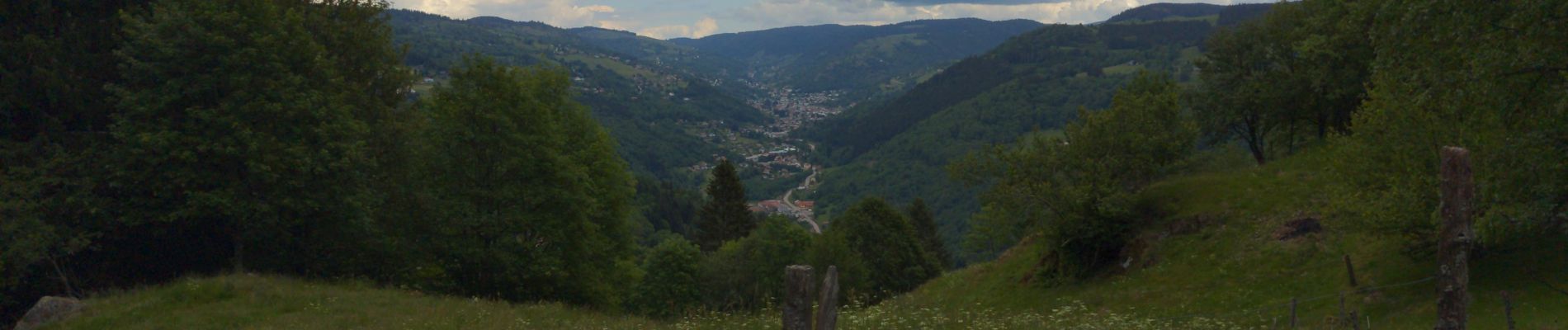 Excursión Senderismo Cornimont - LE HAUT DU ROC JUIN 2020 - 8 JUIN 2020 - Photo