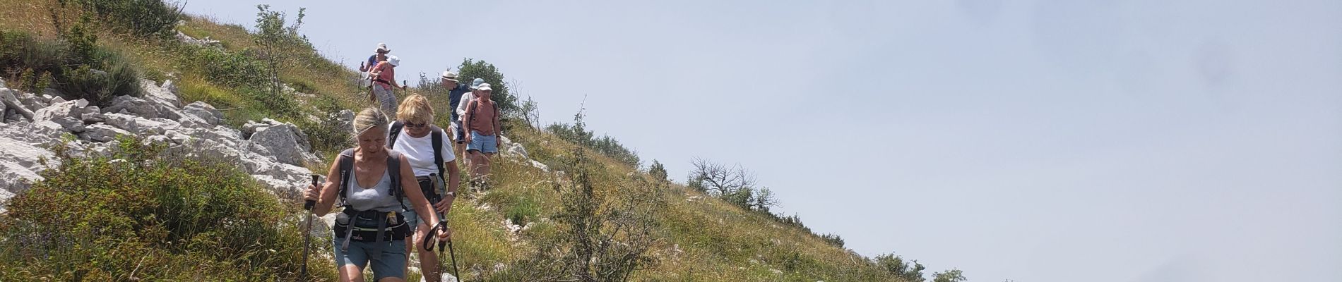 Tocht Stappen Andon - Les  Lys Pomponne de la montagne de Thiey - Photo