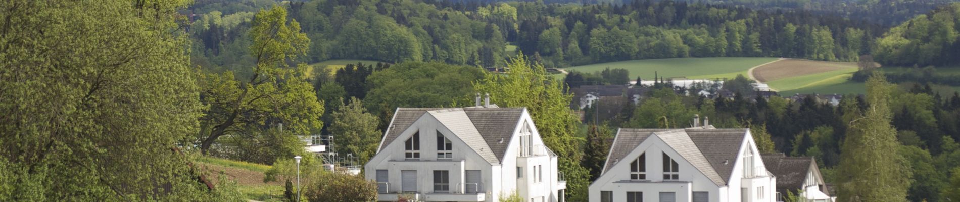 Percorso A piedi Nürensdorf - Oberwil - Brütten - Photo