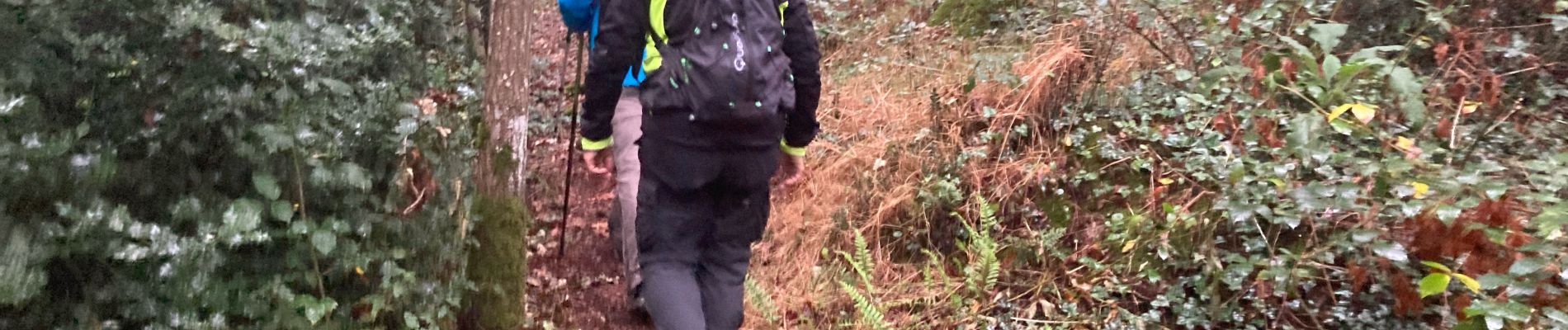 Trail Walking Clisson - Clisson Le Tail  - Photo