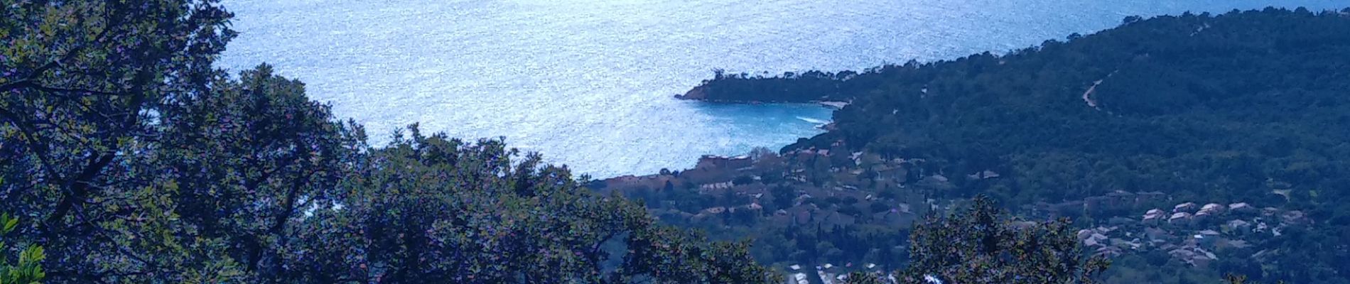 Tocht Stappen Le Lavandou - Rando Les Balcons de Cavalière - Photo