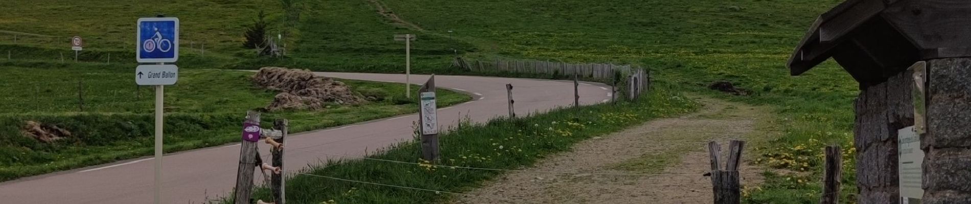 Tour Mountainbike Gebweiler - Circuit V5 Florival 2022 - Photo