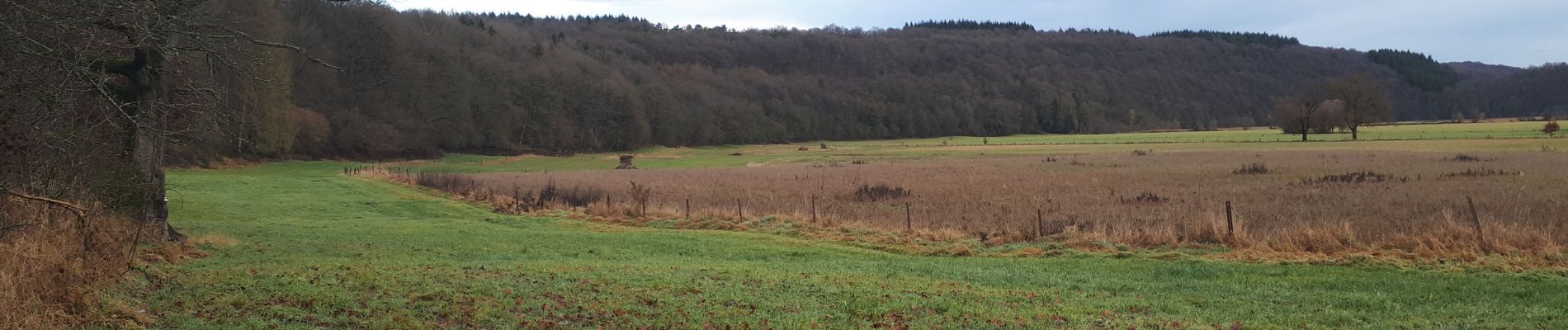 Trail Walking Durbuy - Petit Han - Grand Han - Photo