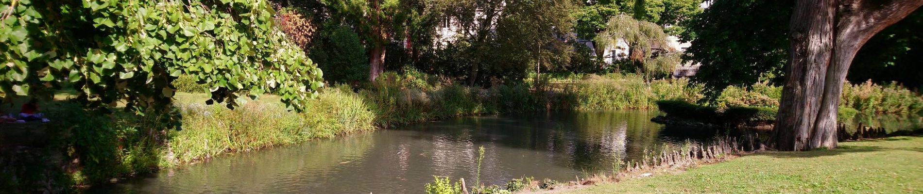 Randonnée Marche Tours - Tours - Prébendes Lac de la Bergeonnerie Parc Honoré de Balzac - 11km 70m 1h55 - 2016 02 14 - Photo