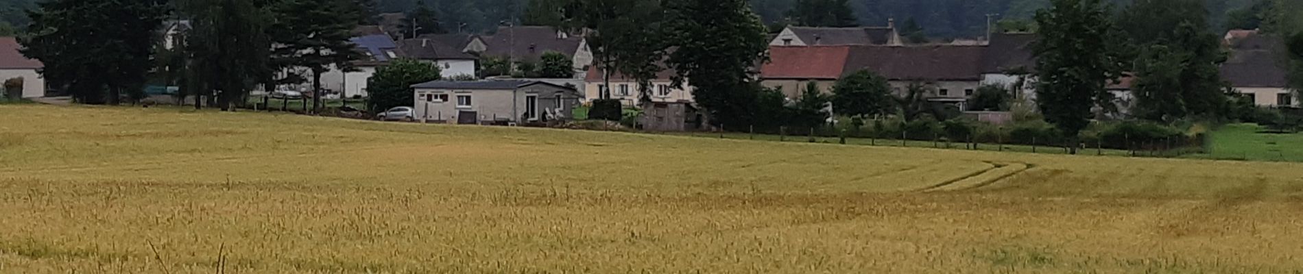 Tour Wandern Saint-Sérotin - 210627 St. Sérotin Enfants sans cancer 12 km - Photo